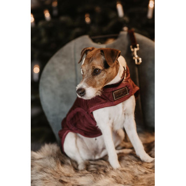 Manteau pour chien Original Kentucky Bordeaux