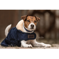 Cappotto per cane Original Kentucky