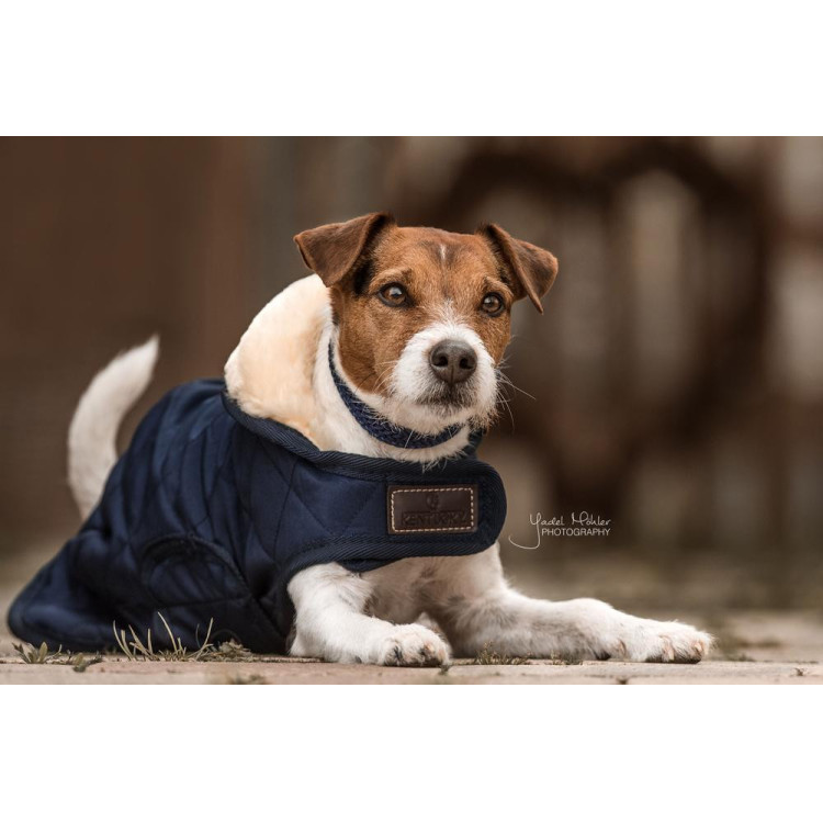 Cappotto per cane Original Kentucky