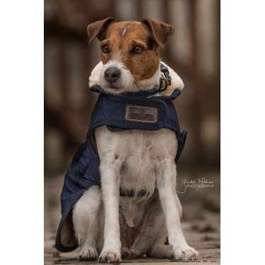 Cappotto per cane Original Kentucky Cappotto per cane Original Kentucky
