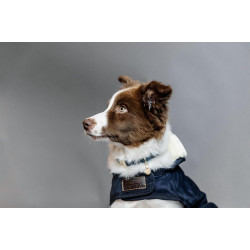 Cappotto per cane Original Kentucky Cappotto per cane Original Kentucky