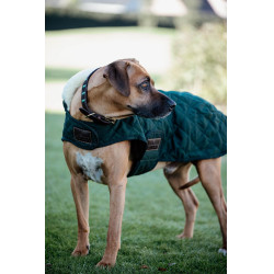 Cappotto per cane Original Kentucky Cappotto per cane Original Kentucky