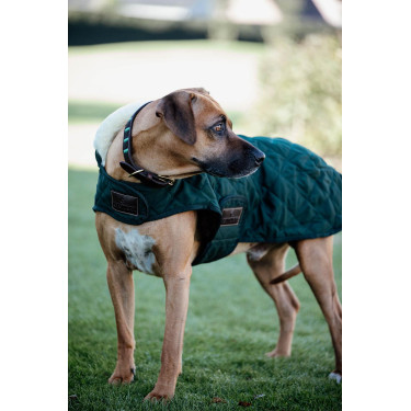Cappotto per cane Original Kentucky Cappotto per cane Original Kentucky