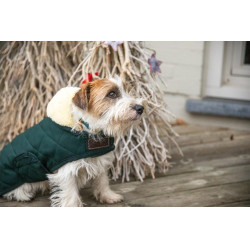 Cappotto per cane Original Kentucky Cappotto per cane Original Kentucky