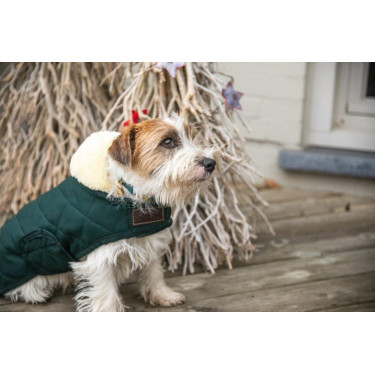 Cappotto per cane Original Kentucky Cappotto per cane Original Kentucky