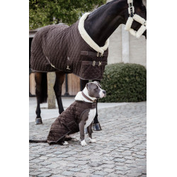 Cappotto per cane Original Kentucky Marrone