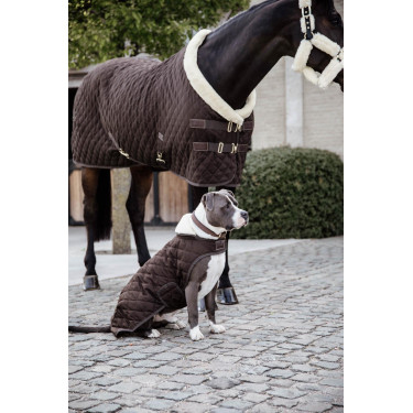 Cappotto per cane Original Kentucky Marrone