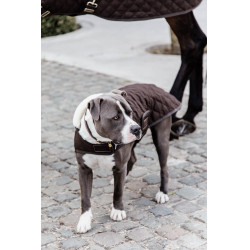 Cappotto per cane Original Kentucky Marrone