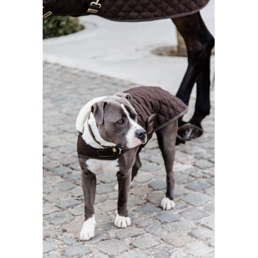 Cappotto per cane Original Kentucky Marrone