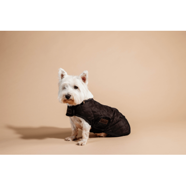 Cappotto per cane Original Kentucky Marrone