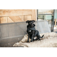 Cappotto per cane Original Kentucky Nero/nero
