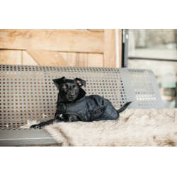 Cappotto per cane Original Kentucky Nero/nero Cappotto per cane Original Kentucky Nero/nero