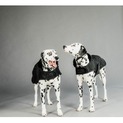 Cappotto per cane Original Kentucky Nero/nero Cappotto per cane Original Kentucky Nero/nero
