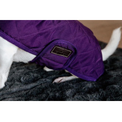 Cappotto per cane Original Kentucky Malva reale Viola