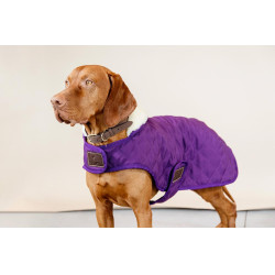 Cappotto per cane Original Kentucky Malva reale Viola