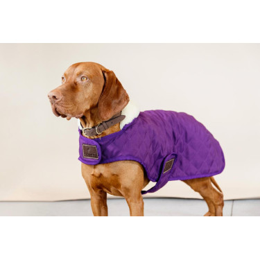 Cappotto per cane Original Kentucky Malva reale Viola