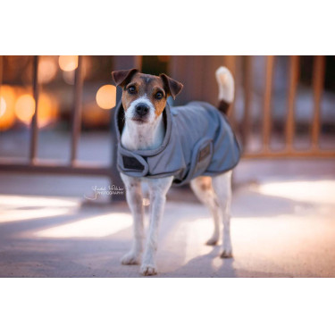 Cappotto per cane riflettente e idrorepellente Kentucky Argento Cappotto per cane riflettente e idrorepellente Kentucky Argento