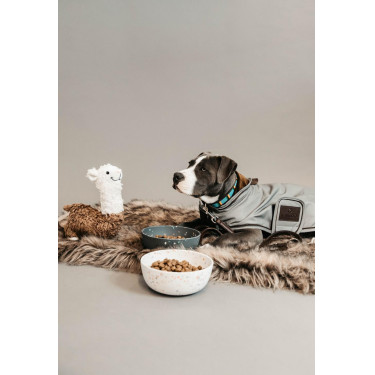 Cappotto per cane riflettente e idrorepellente Kentucky Argento Cappotto per cane riflettente e idrorepellente Kentucky Argento