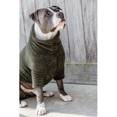 Maglione per Cane Teddy Fleece Kentucky Maglione per Cane Teddy Fleece Kentucky