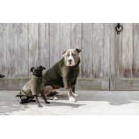 Pull Pour Chien Teddy Fleece Kentucky Beige Pull Pour Chien Teddy Fleece Kentucky Beige