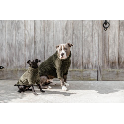 Maglione per Cane Teddy Fleece Kentucky Maglione per Cane Teddy Fleece Kentucky