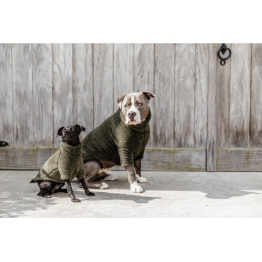 Maglione per Cane Teddy Fleece Kentucky Maglione per Cane Teddy Fleece Kentucky