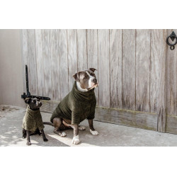 Maglione per Cane Teddy Fleece Kentucky Maglione per Cane Teddy Fleece Kentucky