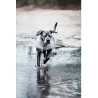 Impermeabile per cane Kentucky Blu polveroso Impermeabile per cane Kentucky Blu polveroso