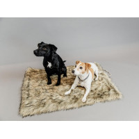 Lit pour chien Fuzzy to go Kentucky Brun