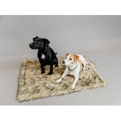 Letto per cane Fuzzy to go Kentucky