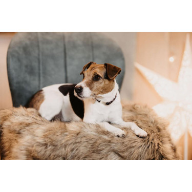 Letto per cane Fuzzy to go Kentucky Marrone