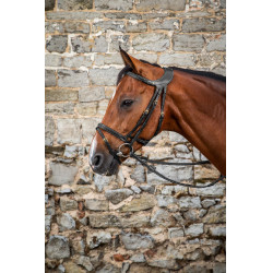 Briglia Différence D Collection by Dy'on