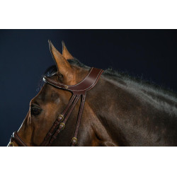 Briglia Différence D Collection by Dy'on Marrone