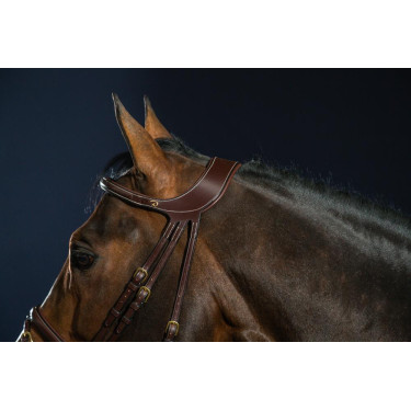 Briglia Différence D Collection by Dy'on Briglia Différence D Collection by Dy'on
