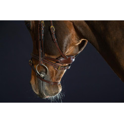 Briglia Différence D Collection by Dy'on Marrone