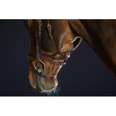 Briglia Différence D Collection by Dy'on Briglia Différence D Collection by Dy'on
