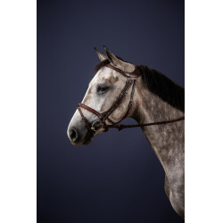 Briglia Différence New English Collection by Dy'on