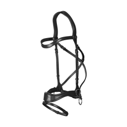 Briglia D Motion New English Collection by Dy'on Nero Briglia D Motion New English Collection by Dy'on Nero