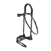 Briglia D Motion New English Collection by Dy'on Nero