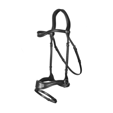 Briglia D Motion New English Collection by Dy'on Briglia D Motion New English Collection by Dy'on