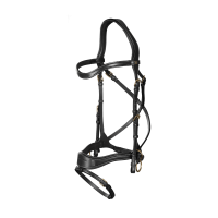 Briglia D Motion D Collection by Dy'on Nero