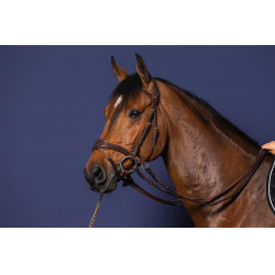 Briglia D Motion D Collection by Dy'on