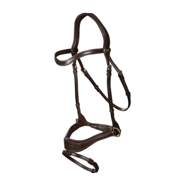 Briglia D Motion D Collection by Dy'on Marrone