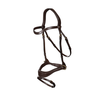 Briglia D Motion D Collection by Dy'on Briglia D Motion D Collection by Dy'on