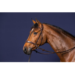 Briglia D Motion D Collection by Dy'on Marrone Briglia D Motion D Collection by Dy'on Marrone