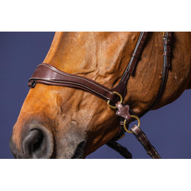 Briglia D Motion D Collection by Dy'on Briglia D Motion D Collection by Dy'on