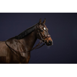 Briglia D Motion D Collection by Dy'on Marrone Briglia D Motion D Collection by Dy'on Marrone