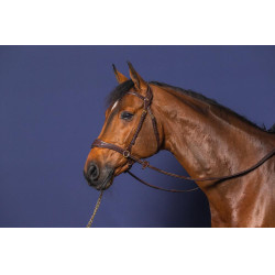 Briglia D Motion D Collection by Dy'on Marrone Briglia D Motion D Collection by Dy'on Marrone