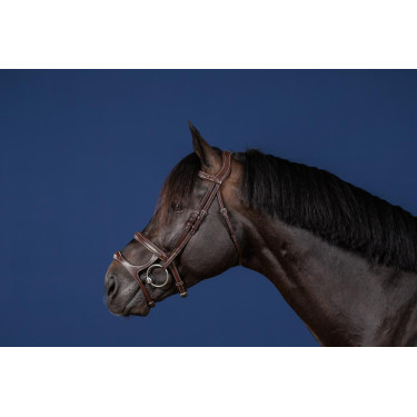 Briglia Doppio Capezzino Collezione US by Dy'on Marrone