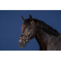 Briglia Doppio Capezzino Collezione US by Dy'on Marrone